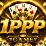 1PPP Game