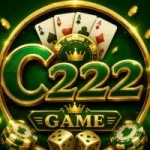 C222 Game