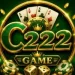 C222 Game